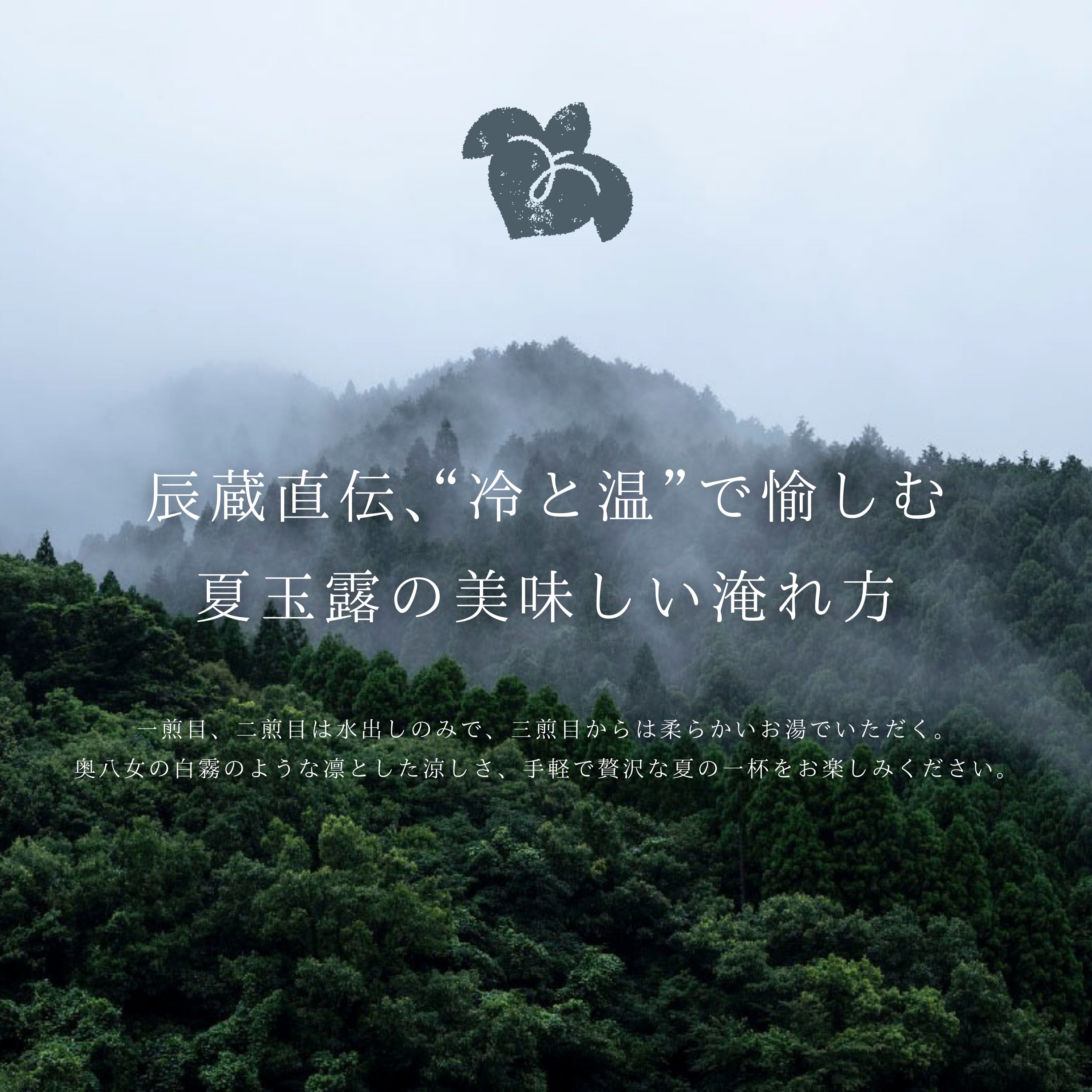 MiZu様ハイ2点 見易い 