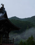 白霧ノ杜 (かぶせ白折)