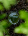 神籤ノ茶 水出し凡玉露TB