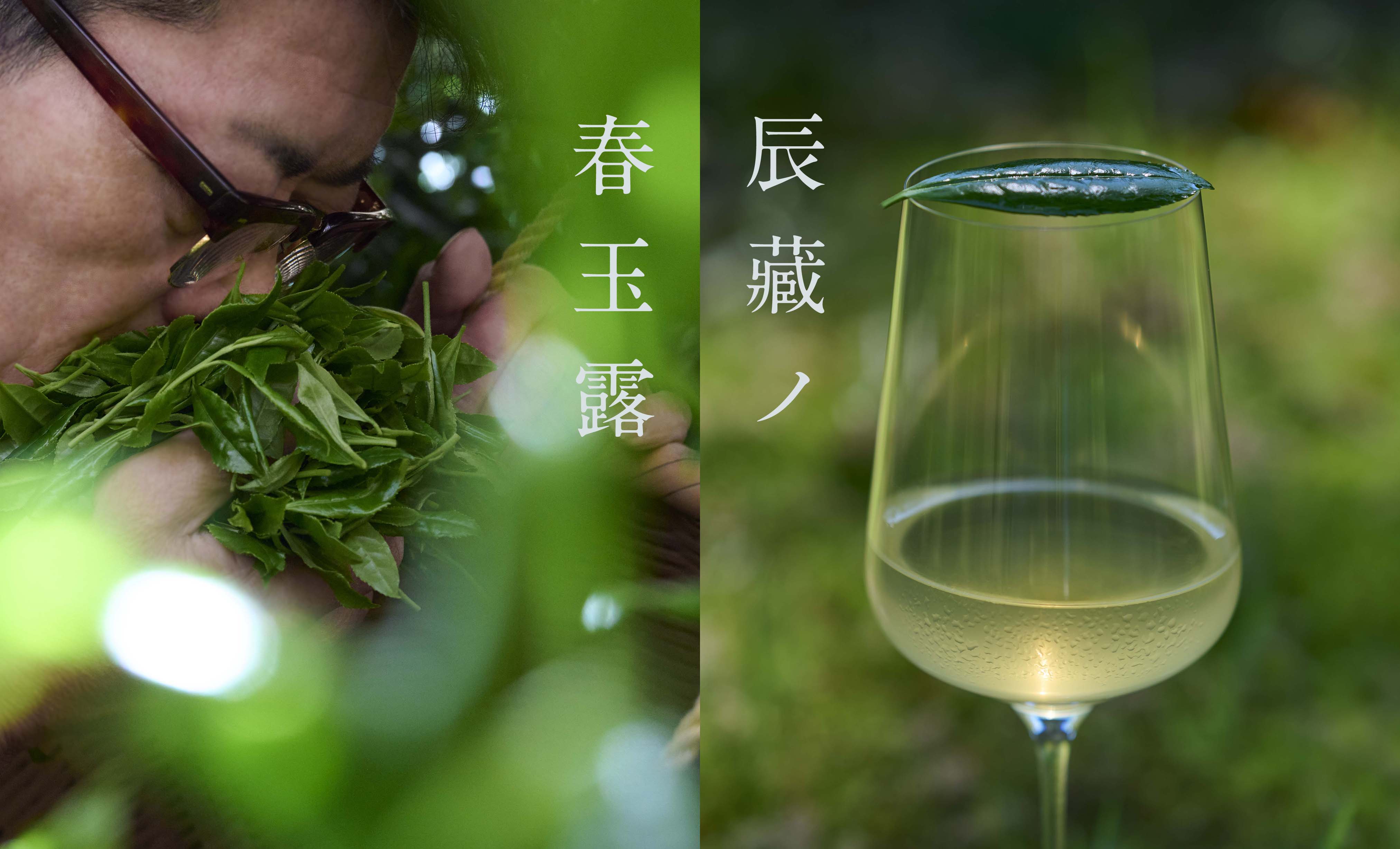 八女産抹茶 缶詰 20g - オーガニック八女茶－お茶の千代乃園