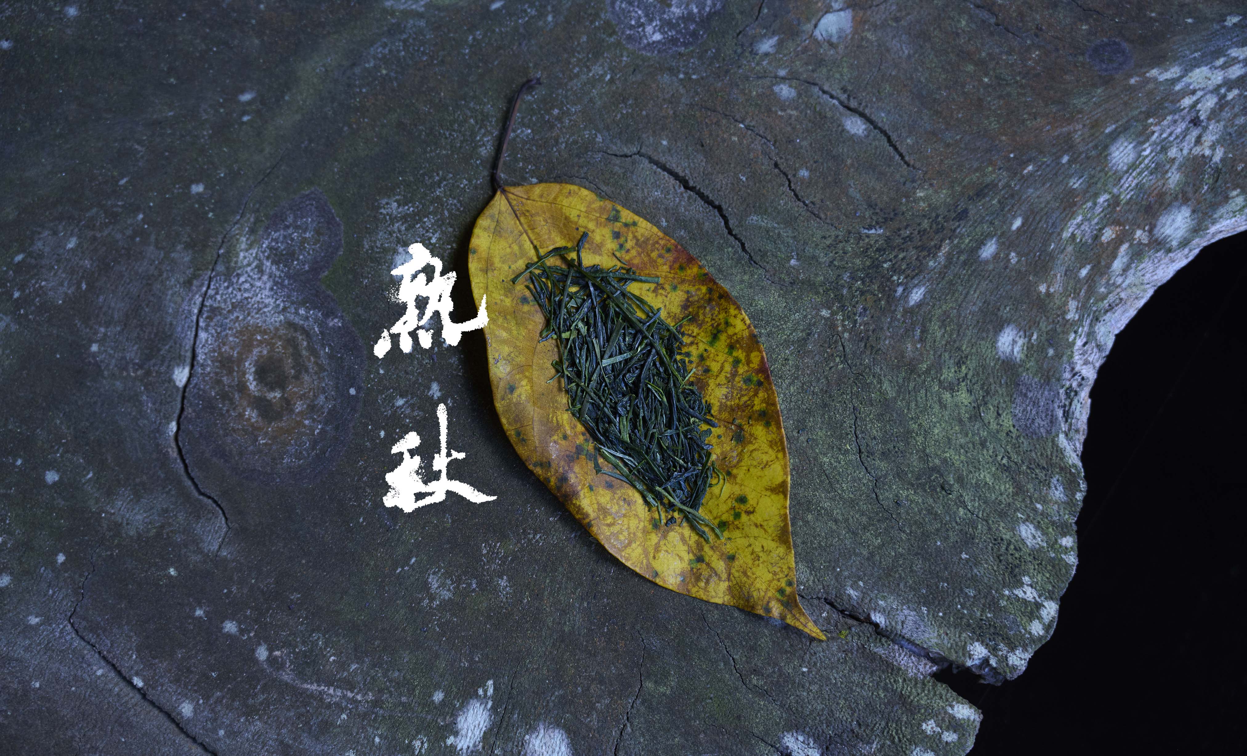 熟秋