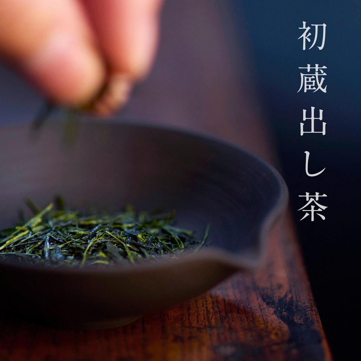 初蔵出し茶（6種）