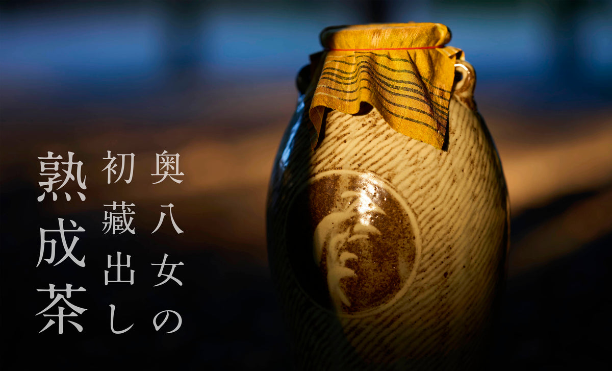 2026 熟秋