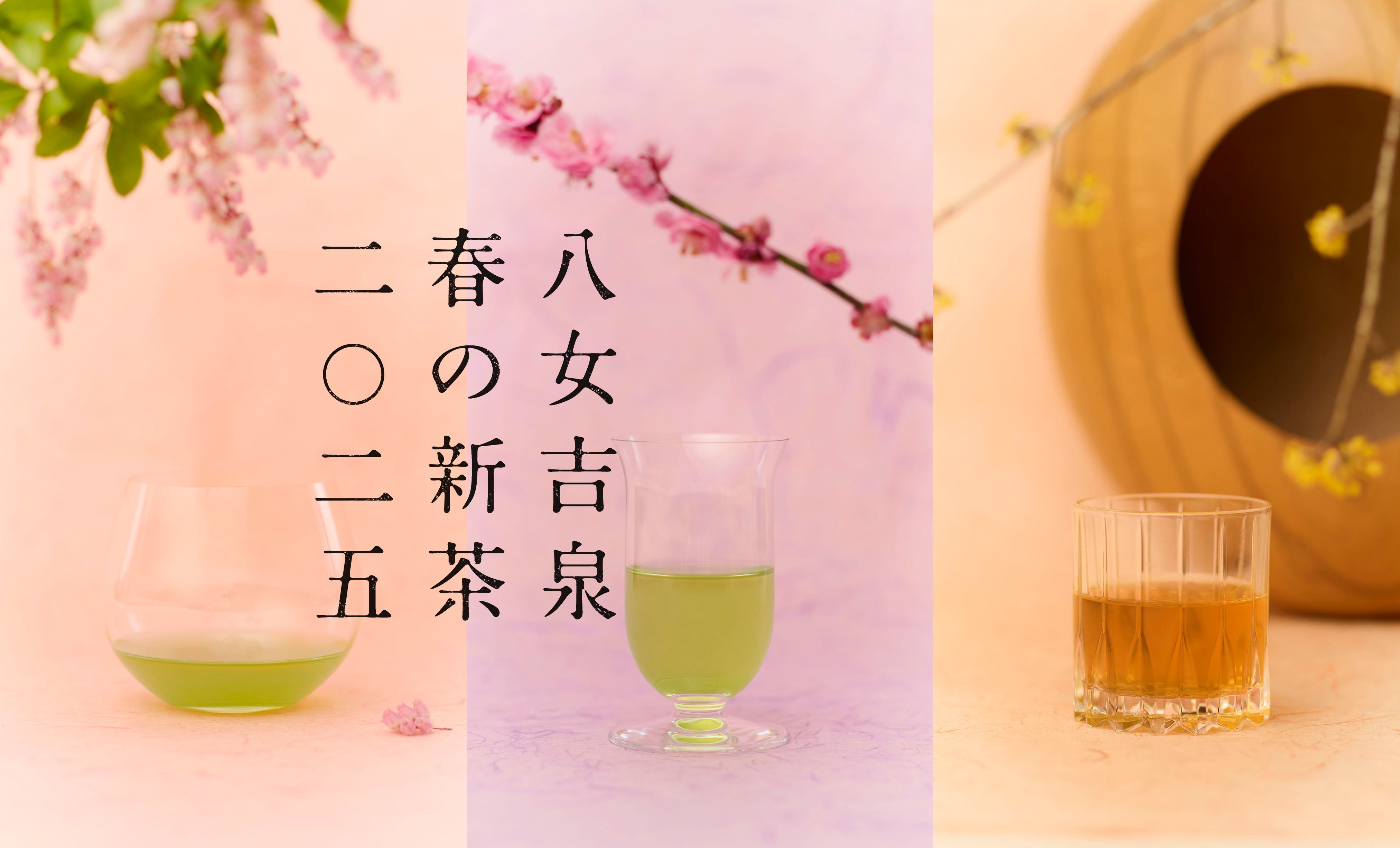 2025春茶