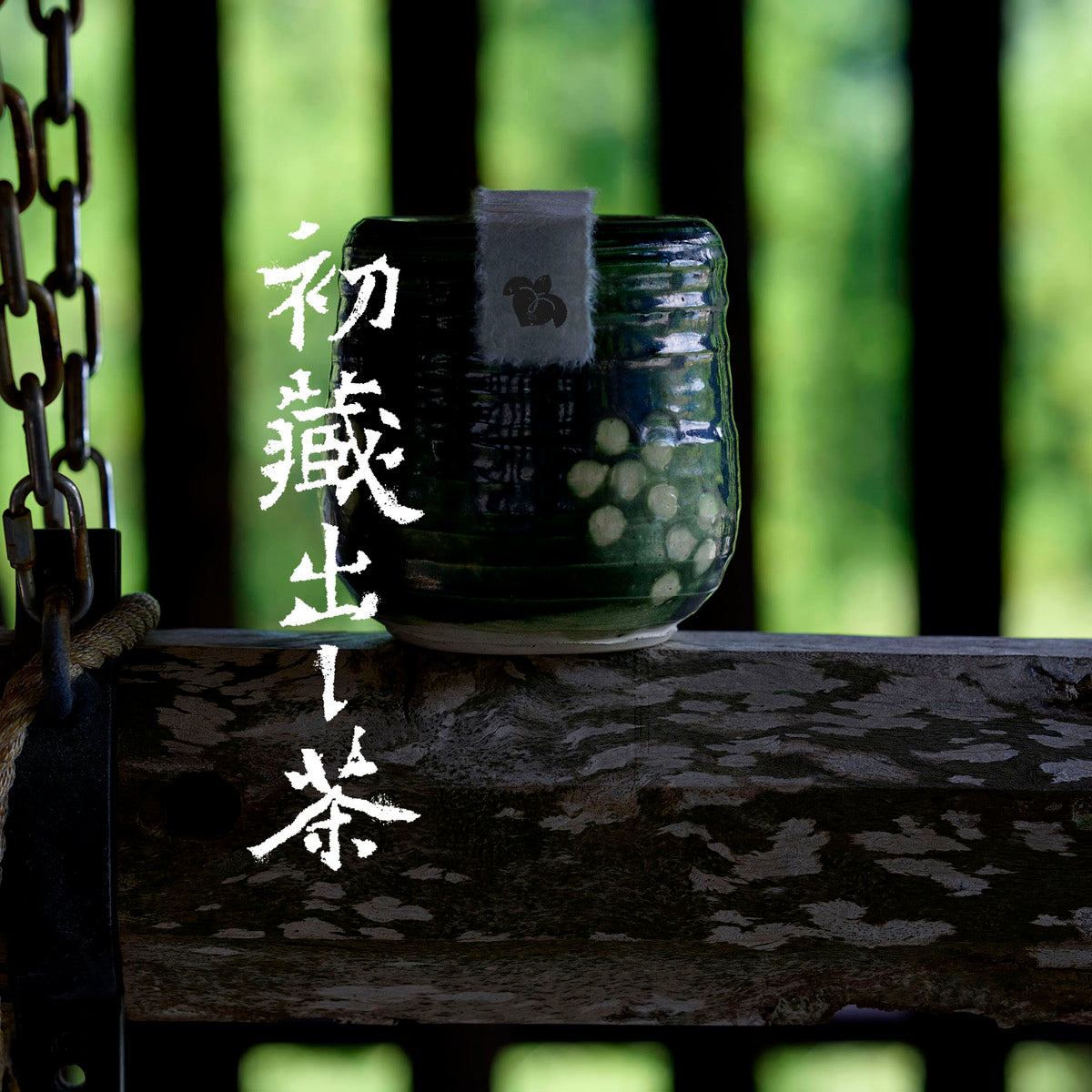 Collection Image